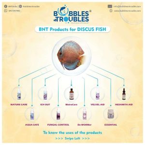 InfoGraphic-3