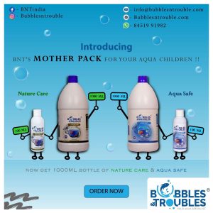 Product Launch-2