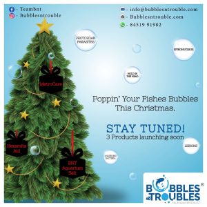Product teaser-1